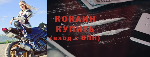дживик Козельск