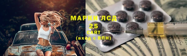 дживик Козельск