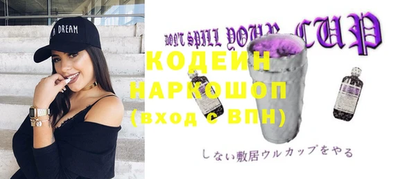 дживик Козельск