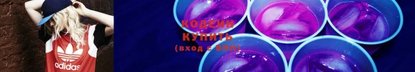 дживик Козельск