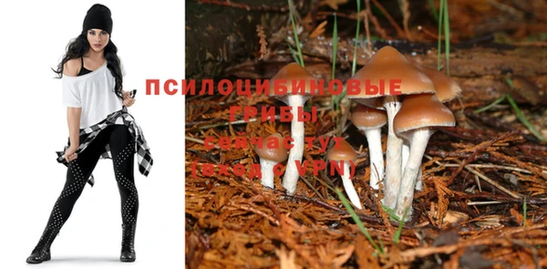скорость mdpv Козловка