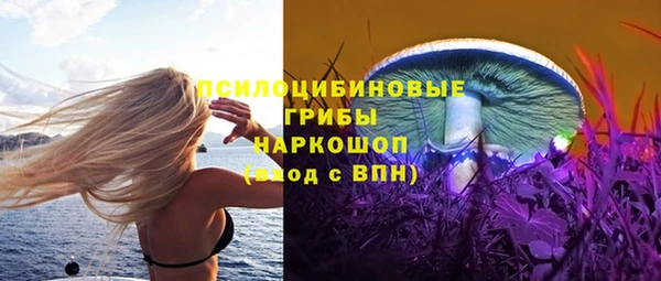 дживик Козельск