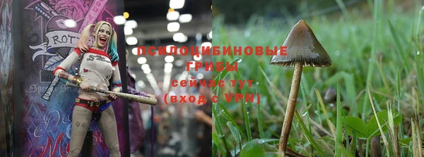 прущая мука Кодинск