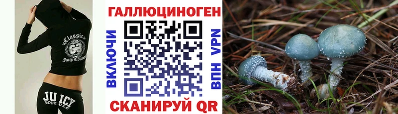 Купить закладки  Ульяновск  Псилоцибиновые грибы Cubensis 